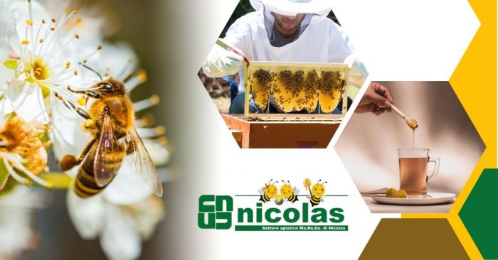 GIUSEPPE Susa foto 7