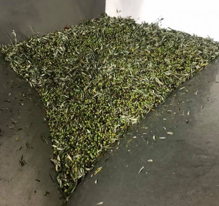 DANIELE Sansepolcro foto 4