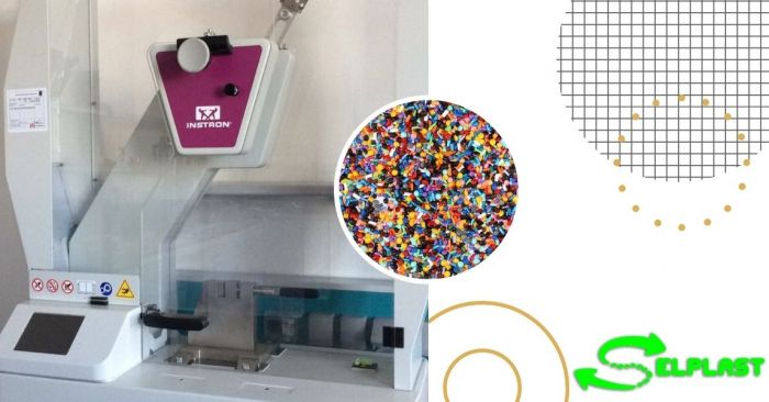 Elvis Torino foto 11