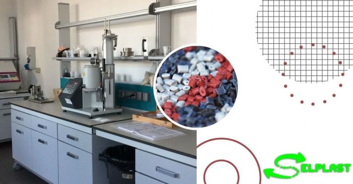 Elvis Torino foto 10